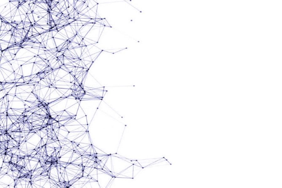 netz netz