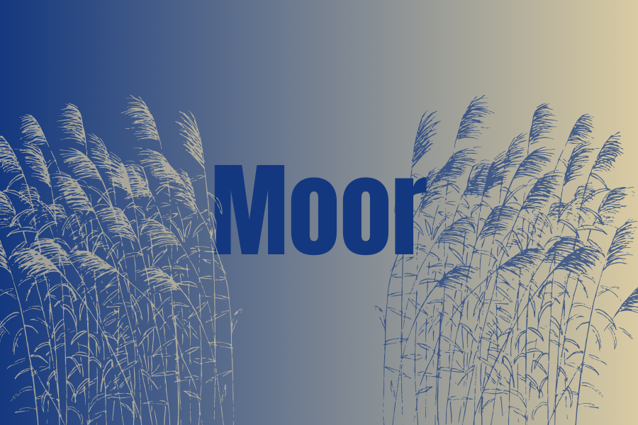 Kachel Moor