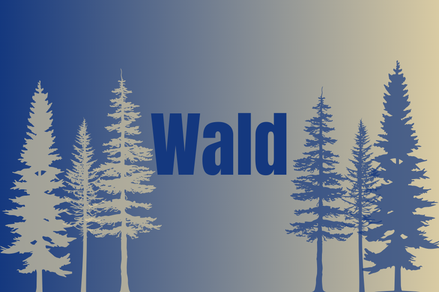 Kachel Wald